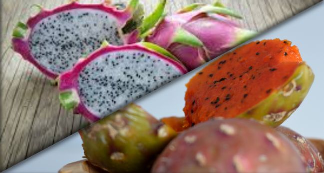 ¿No es lo mismo, pero es igual?: Pitaya y pitahaya